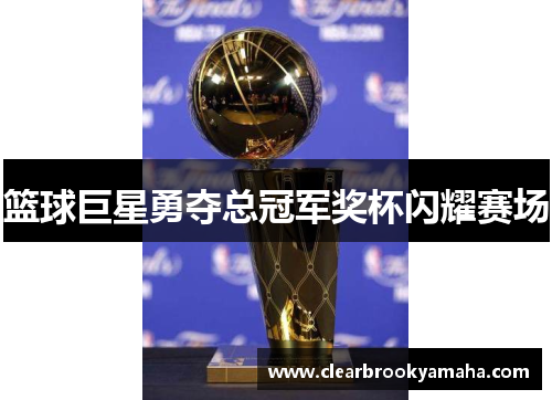 篮球巨星勇夺总冠军奖杯闪耀赛场